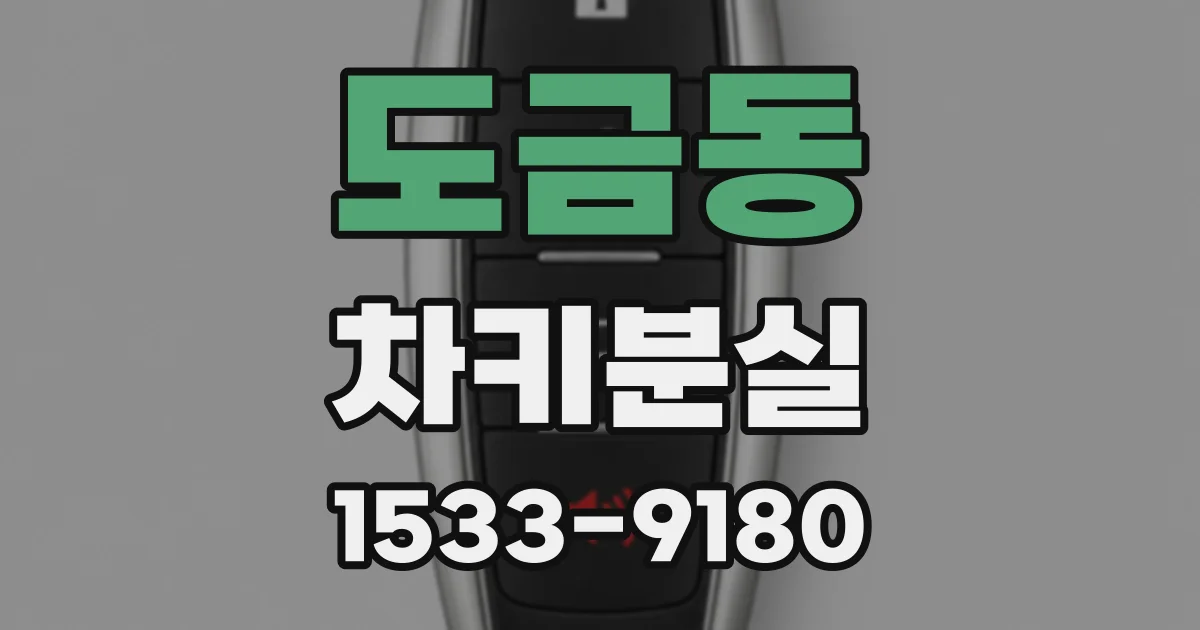 도금동 차키분실
