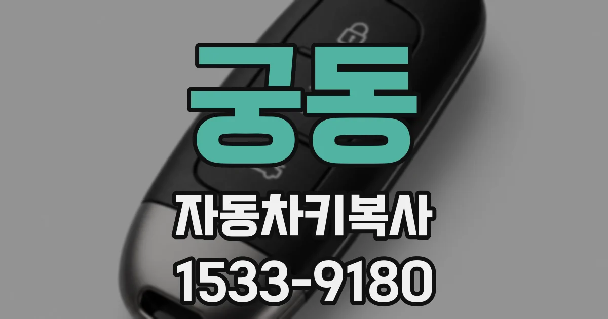 궁동 자동차키복사