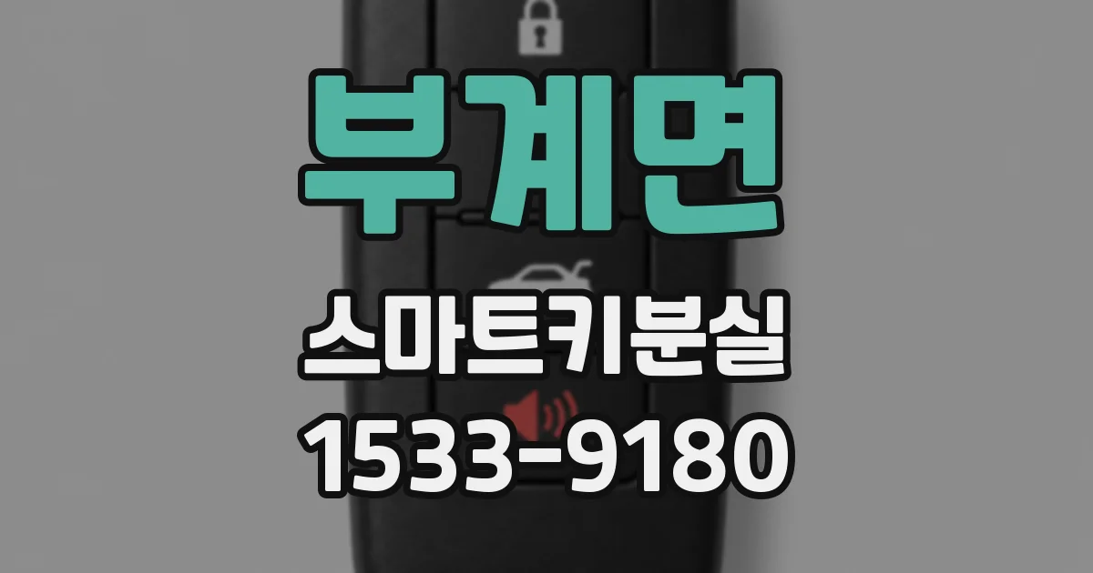 부계면 스마트키분실
