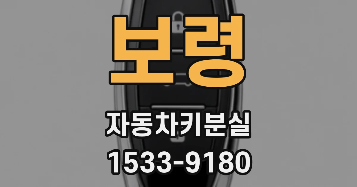 보령 자동차키분실