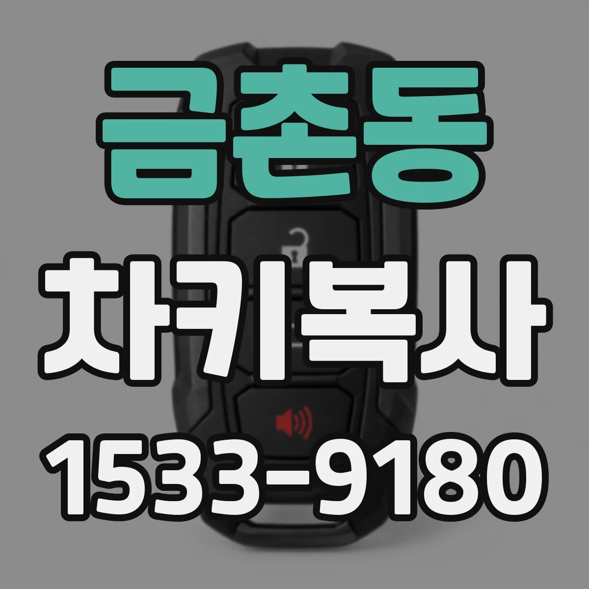 금촌동 차키복사