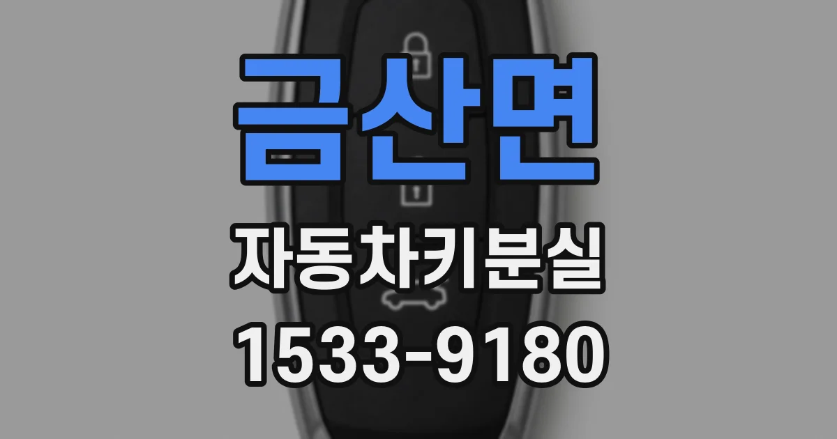 금산면 자동차키분실