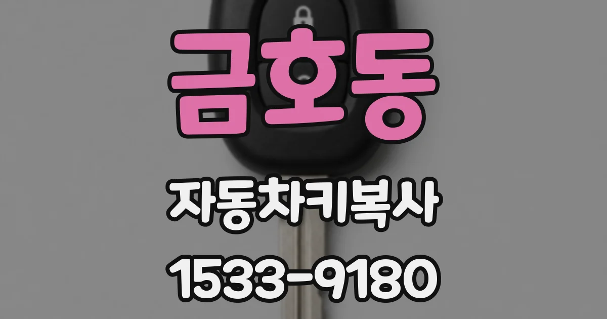 금호동 자동차키복사