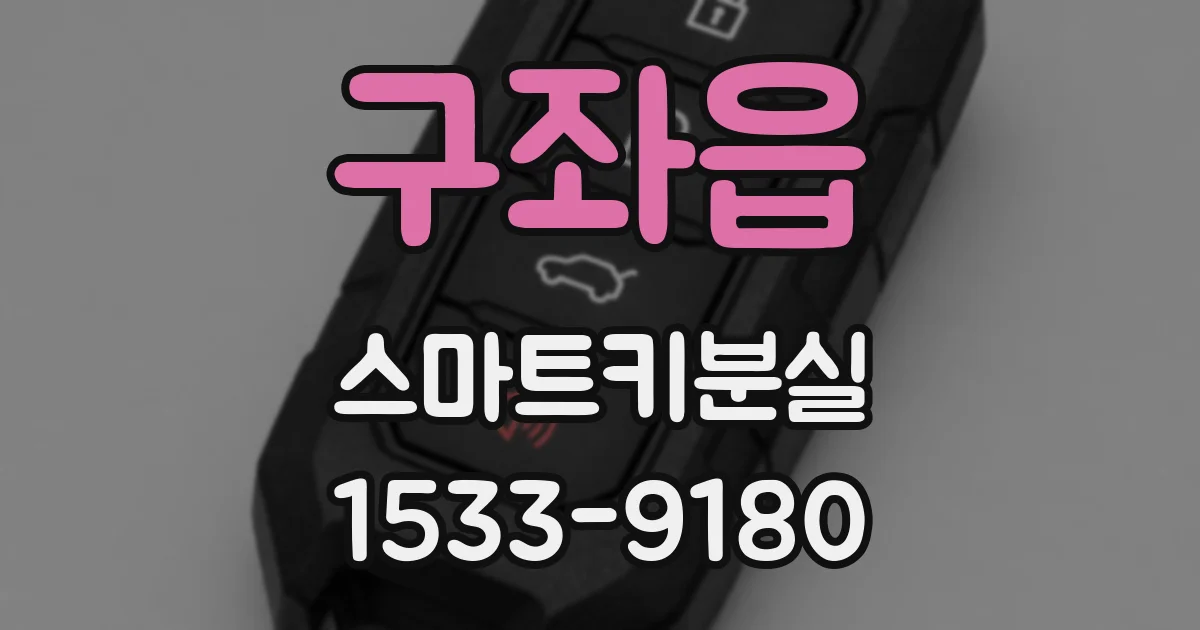 구좌읍 스마트키분실