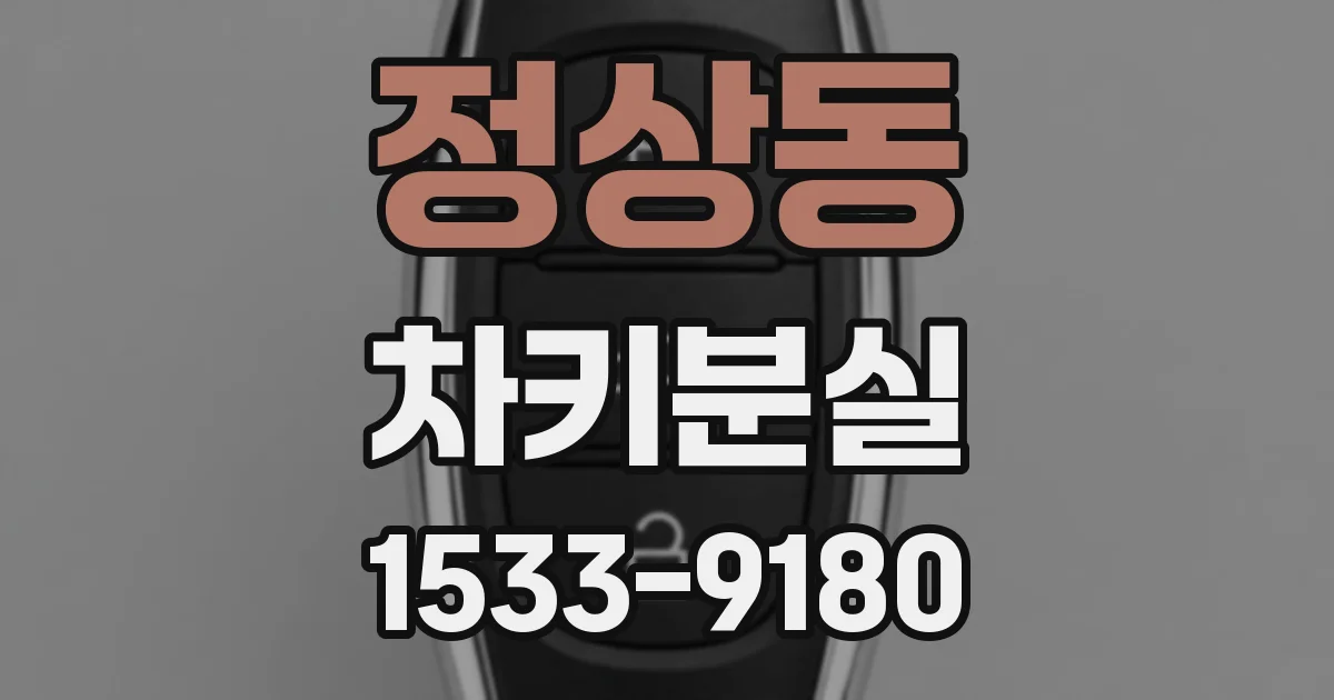 정상동 차키분실
