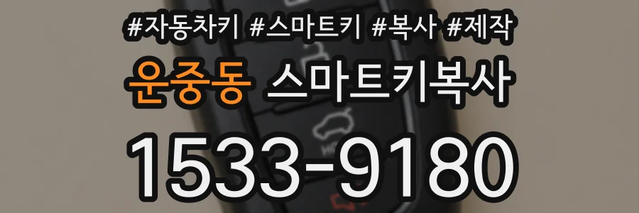 운중동 스마트키복사