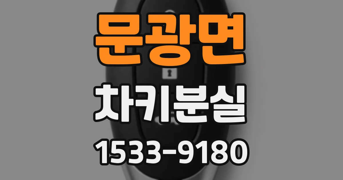문광면 차키분실