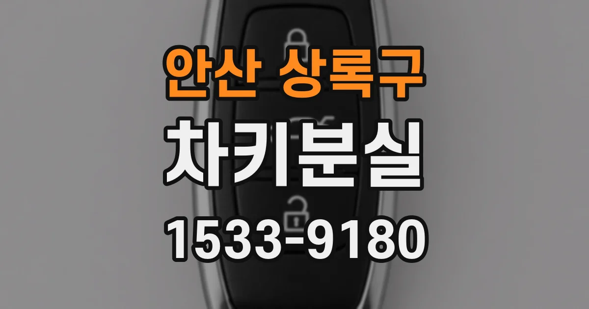 안산 상록구 차키분실