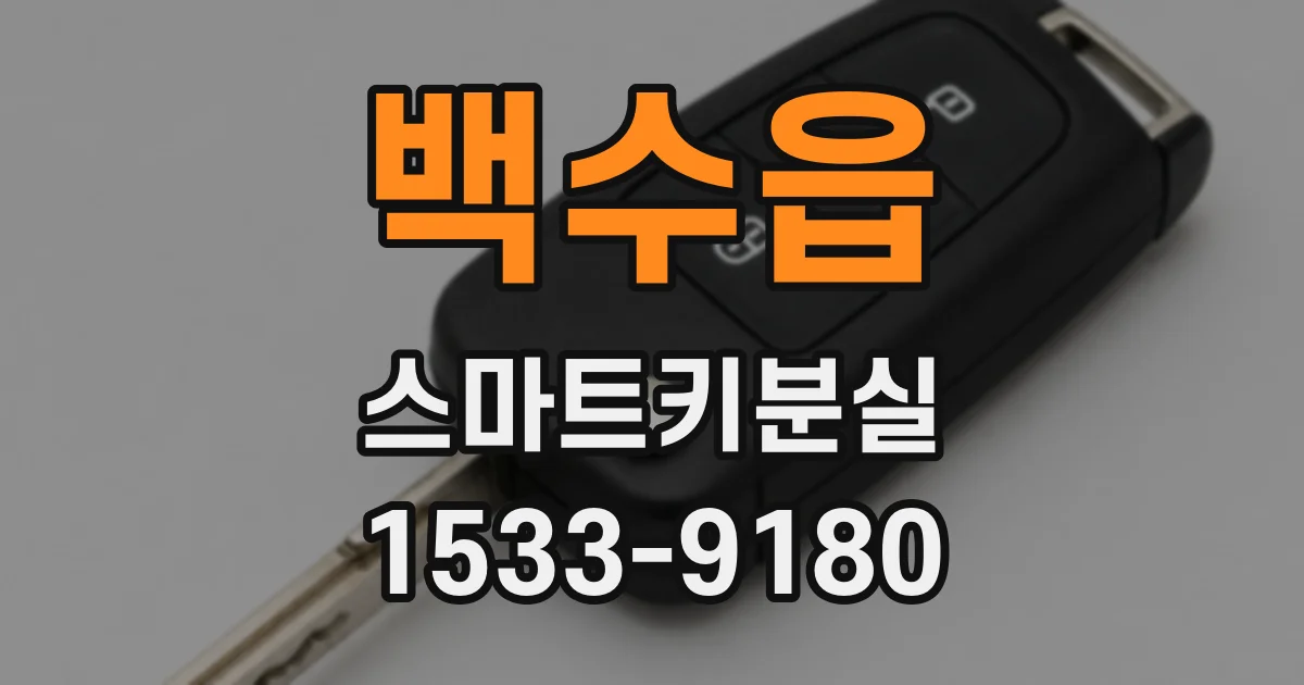백수읍 스마트키분실