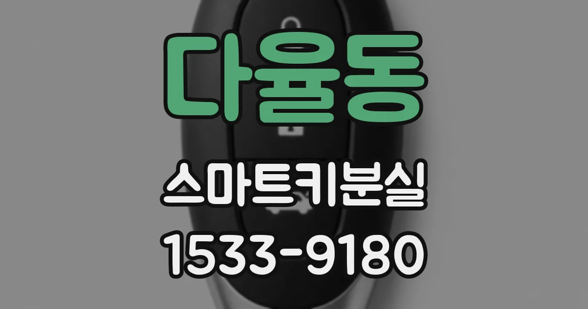 다율동 스마트키분실