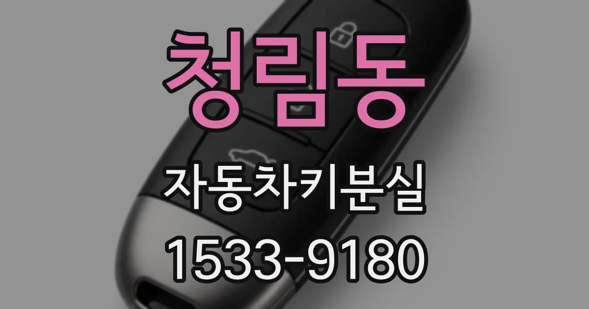 청림동 자동차키분실
