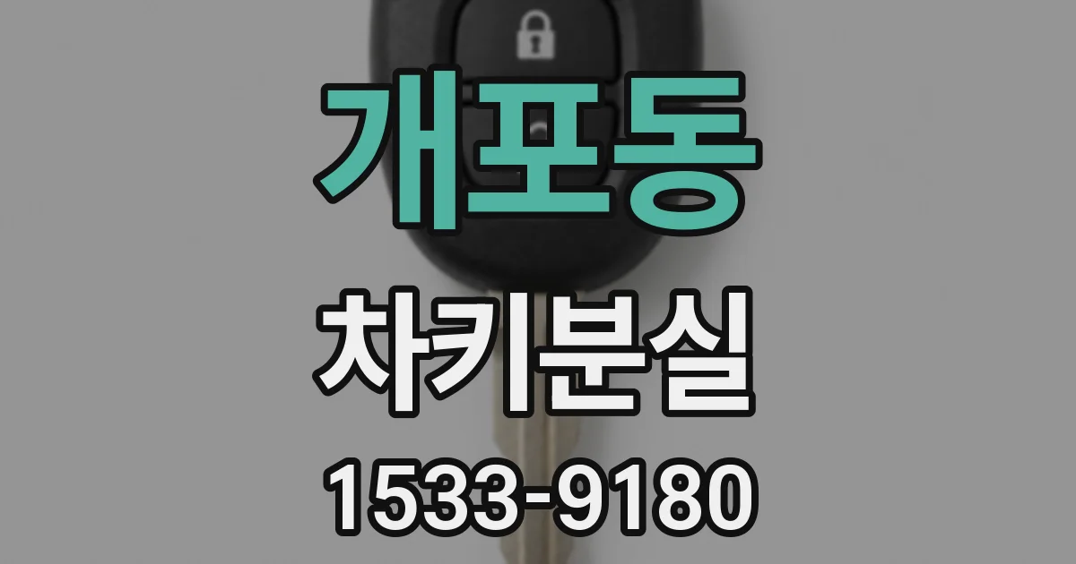 개포동 차키분실