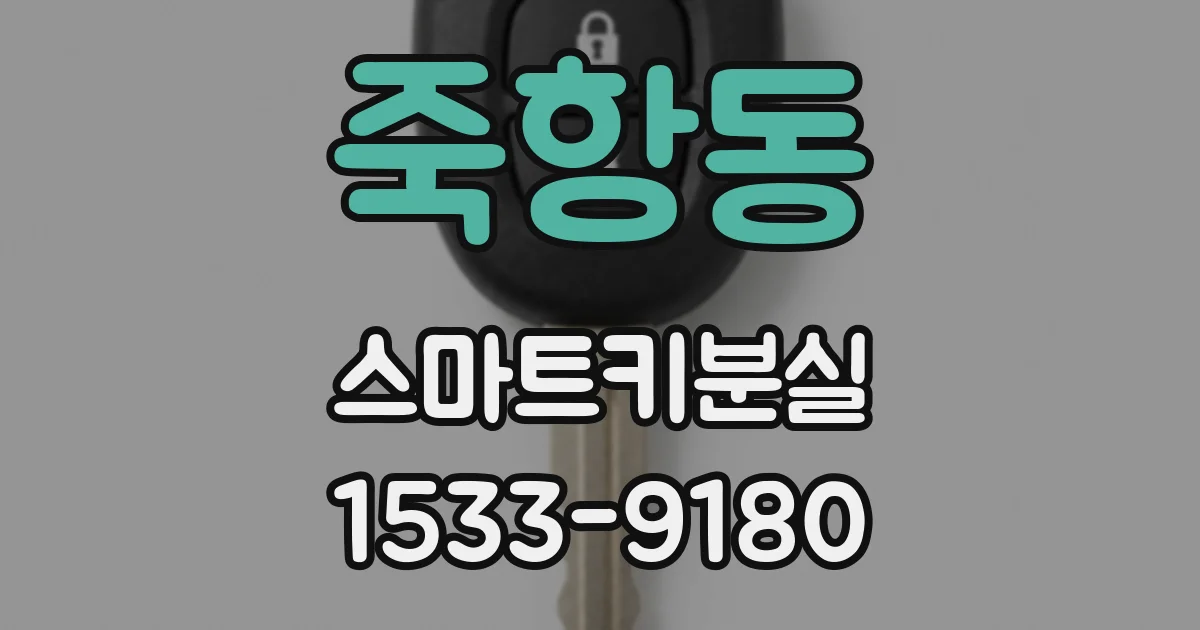 죽항동 스마트키분실