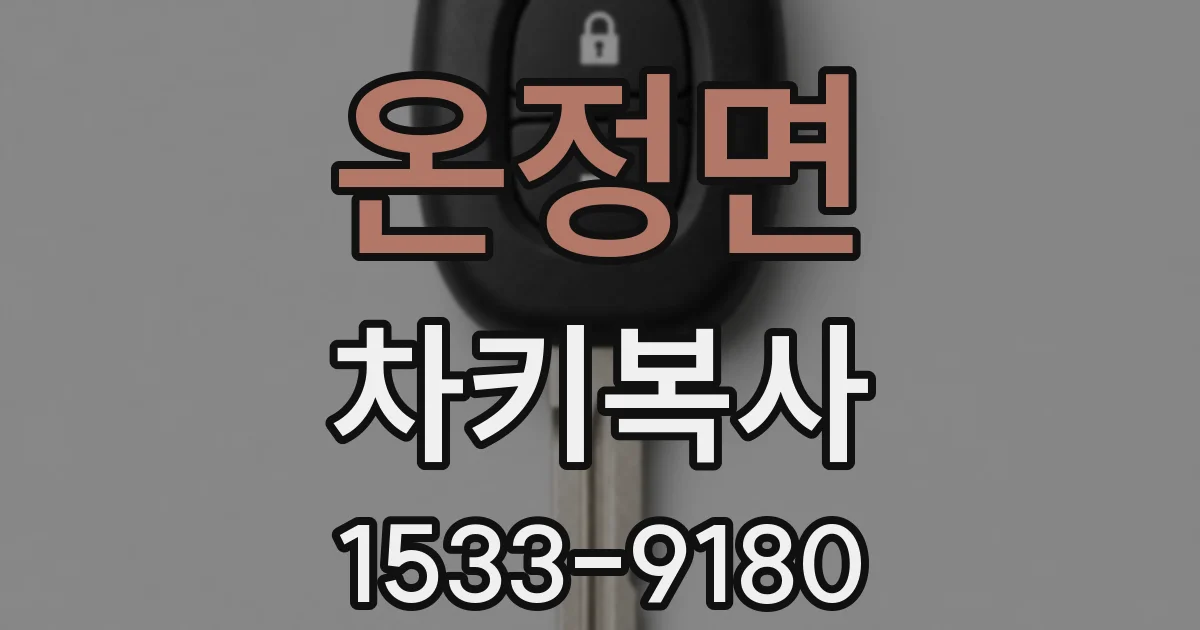 온정면 차키복사