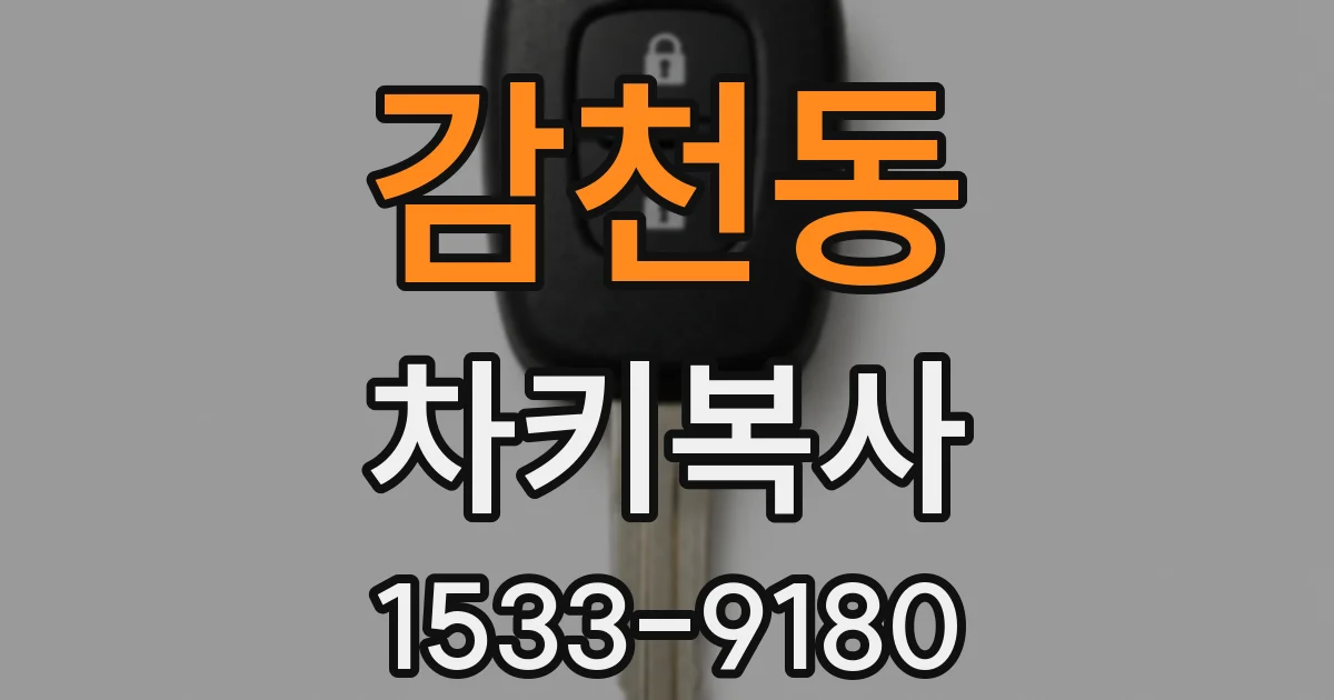 감천동 차키복사