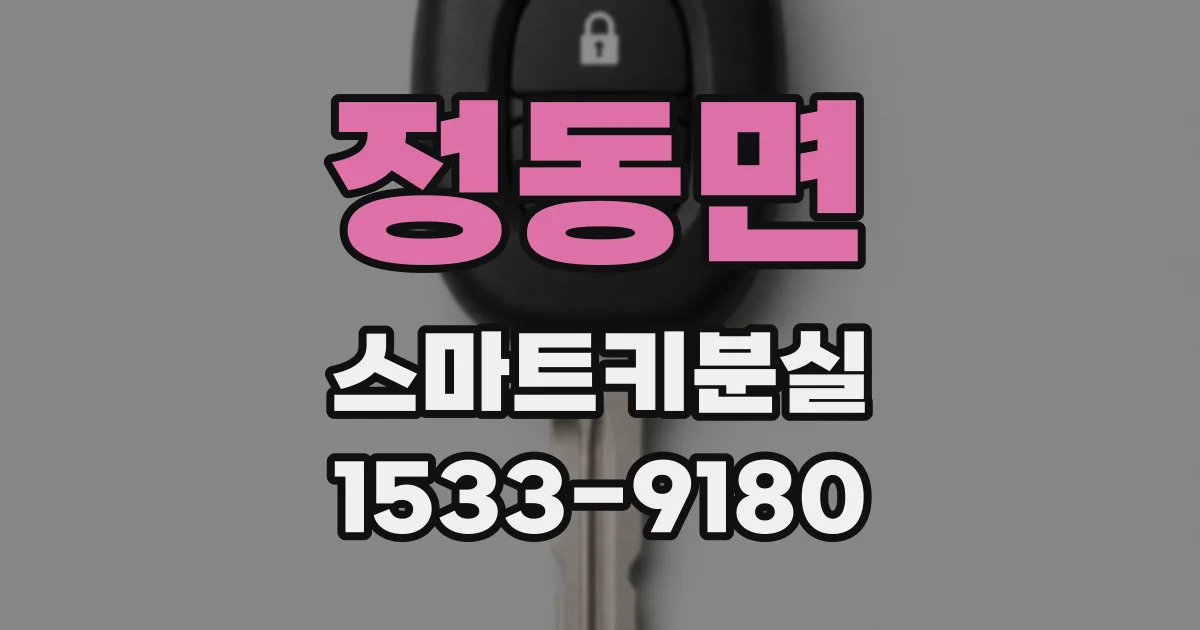 정동면 스마트키분실