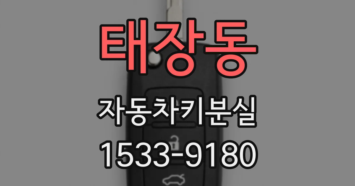 태장동 자동차키분실
