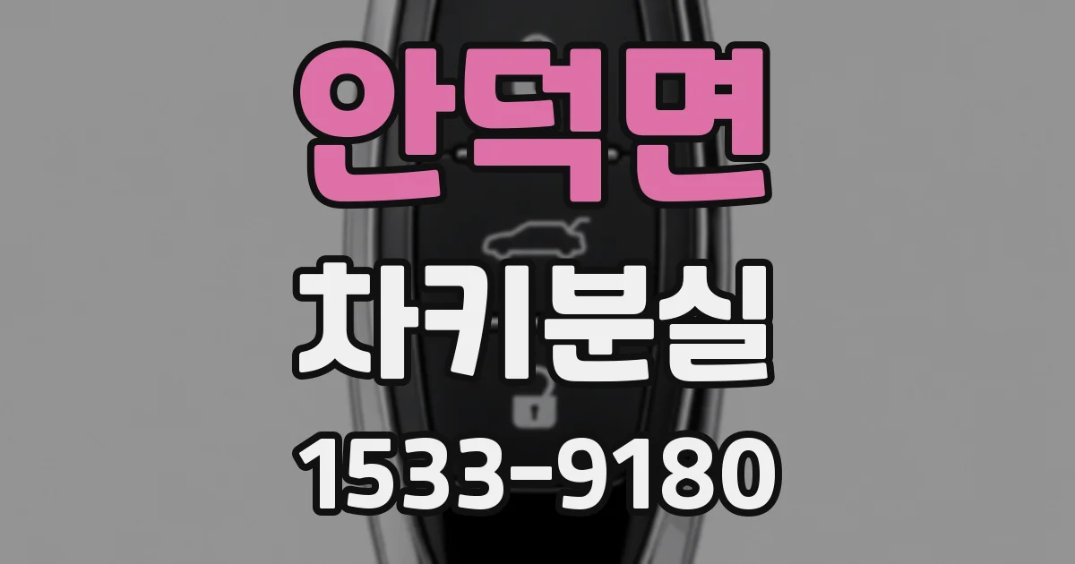 안덕면 차키분실