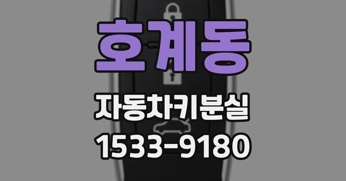 호계동 자동차키분실