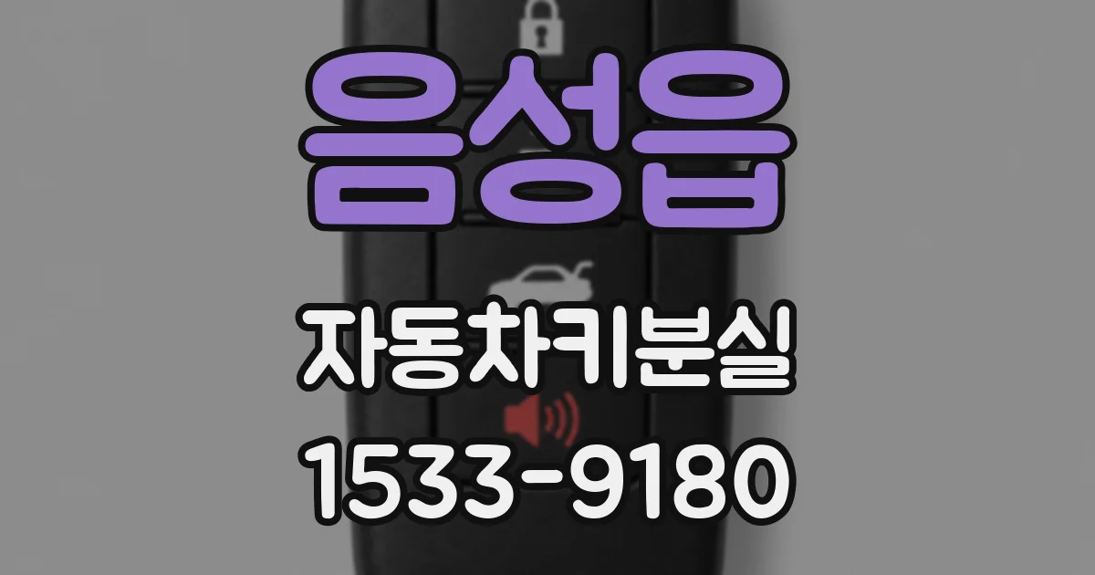 음성읍 자동차키분실