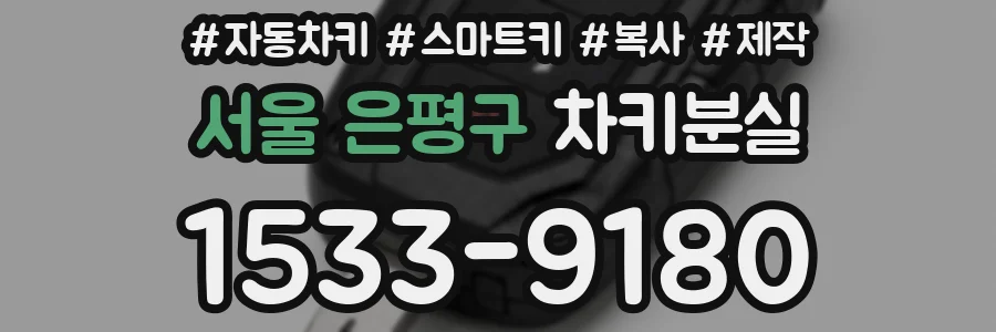 서울 은평구 차키분실
