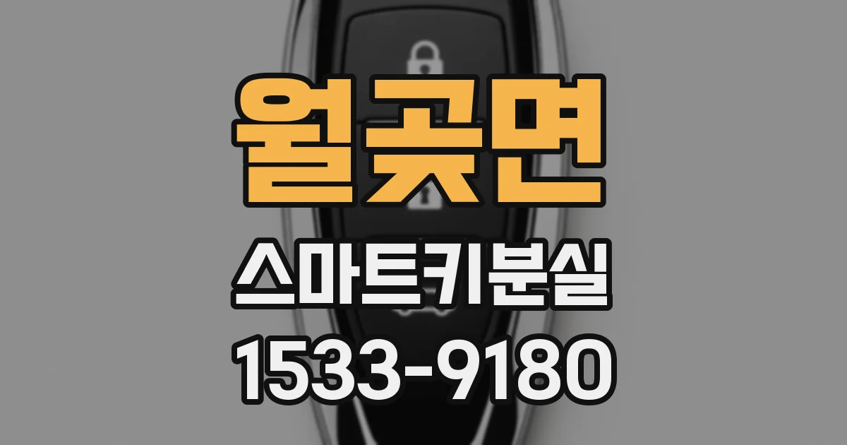 월곶면 스마트키분실
