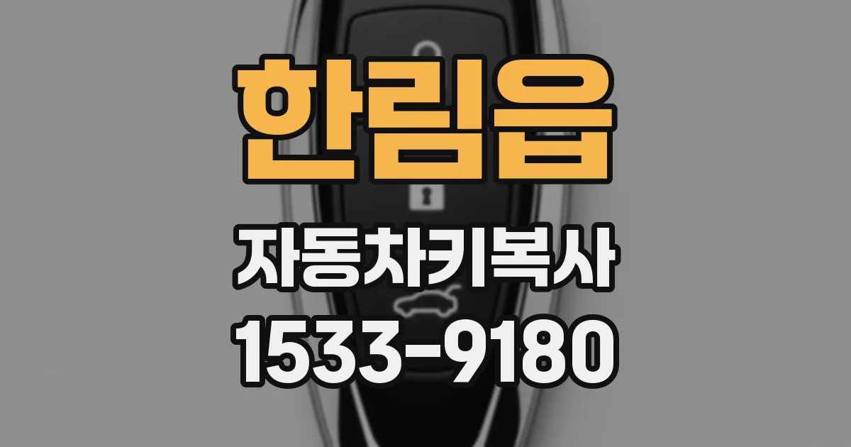 한림읍 자동차키복사
