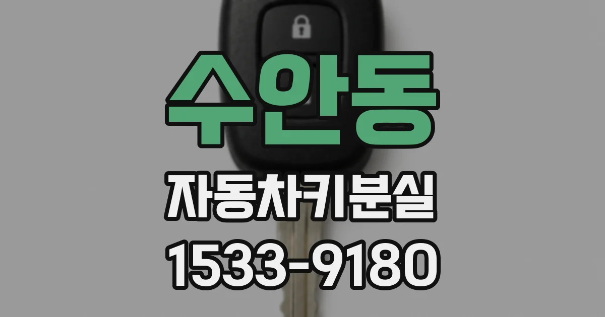 수안동 자동차키분실