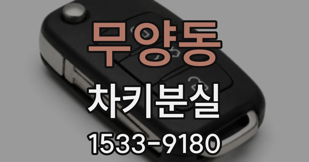 무양동 차키분실