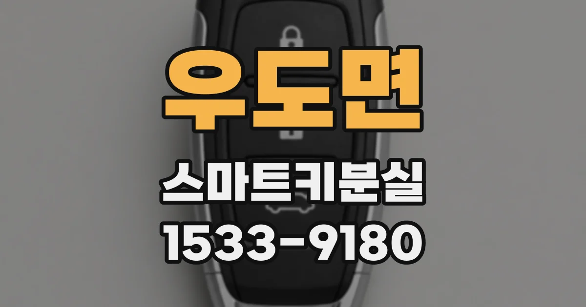 우도면 스마트키분실
