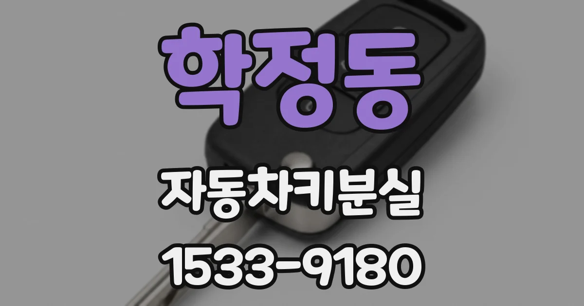 학정동 자동차키분실