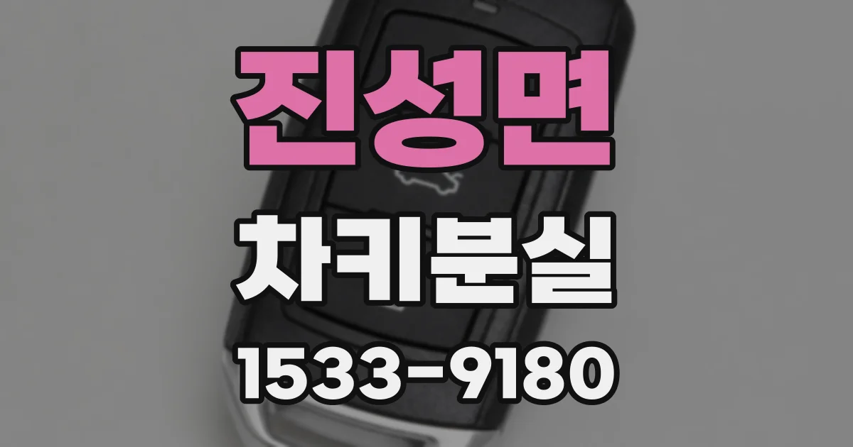 진성면 차키분실