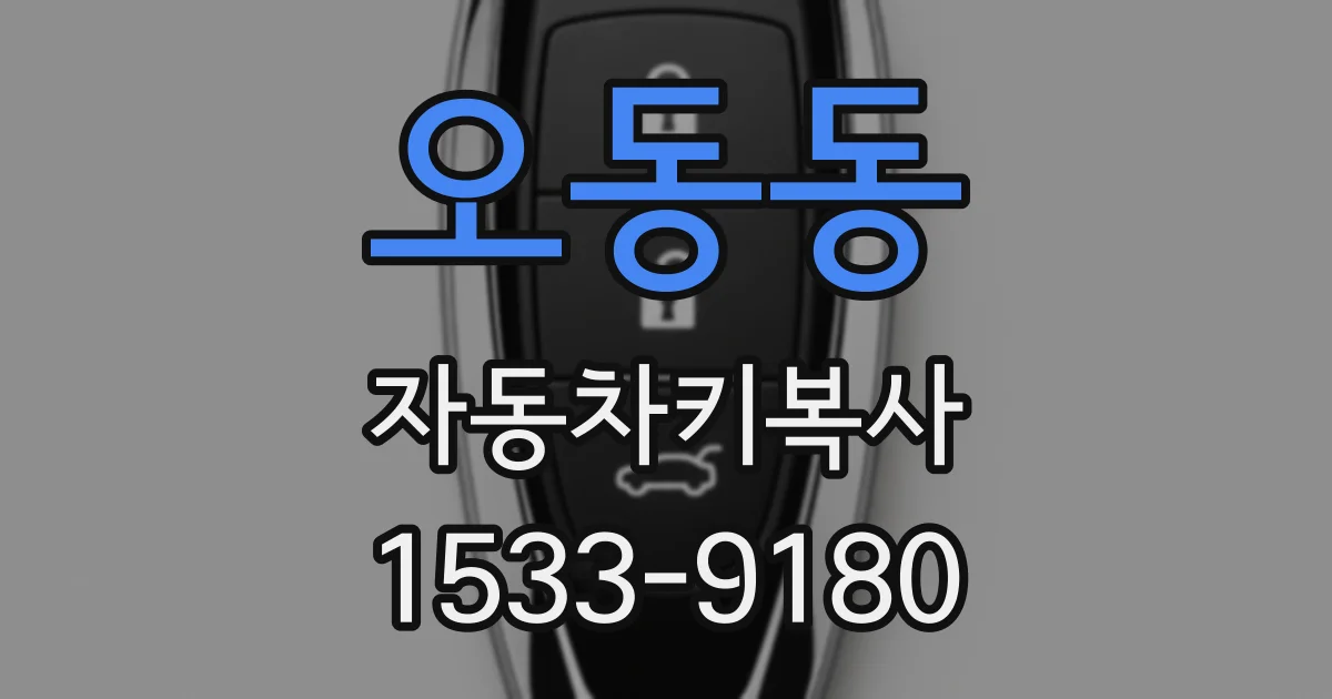 오동동 자동차키복사