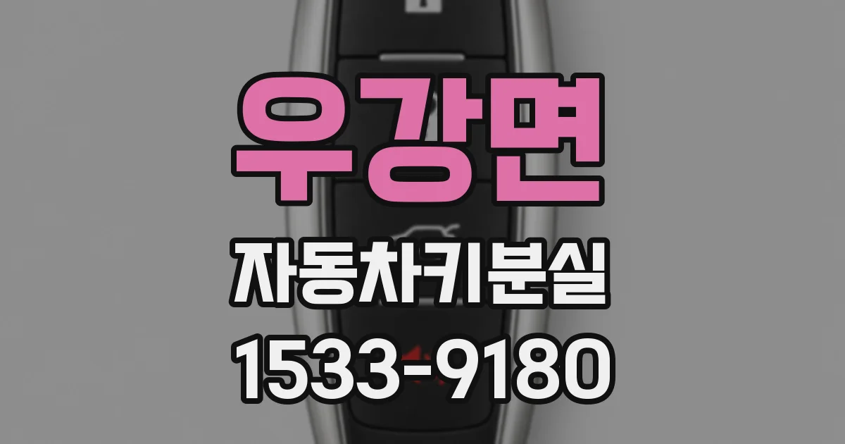 우강면 자동차키분실