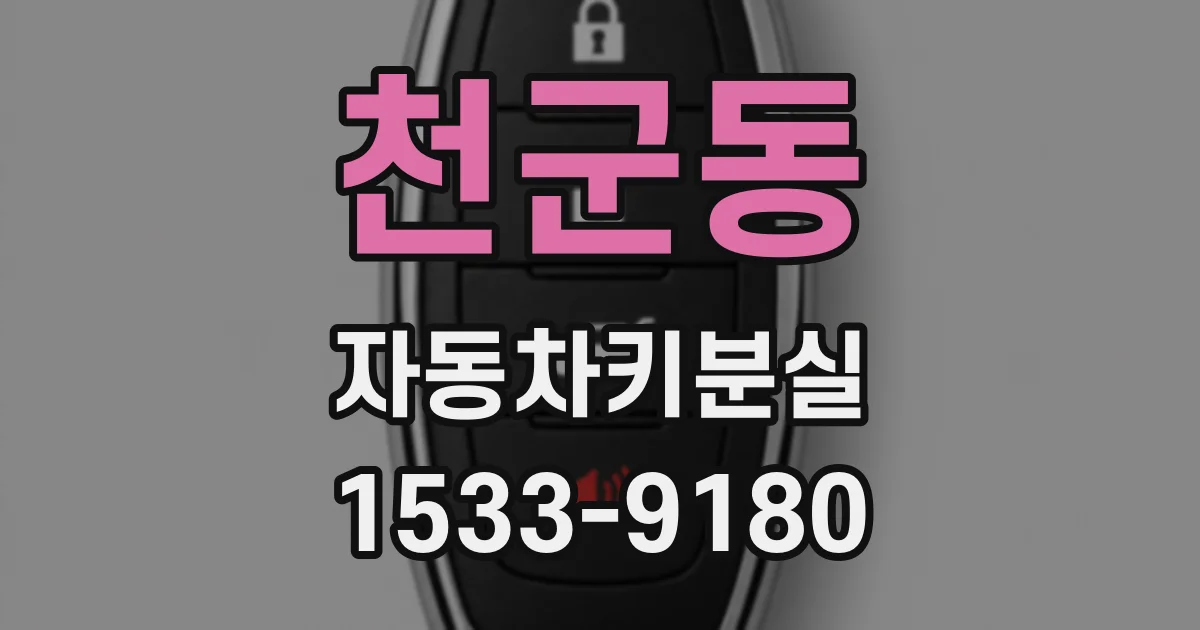 천군동 자동차키분실