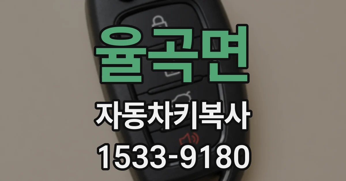 율곡면 자동차키복사