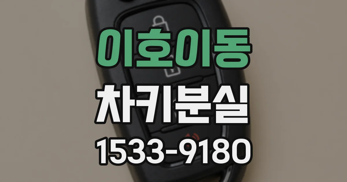 이호이동 차키분실