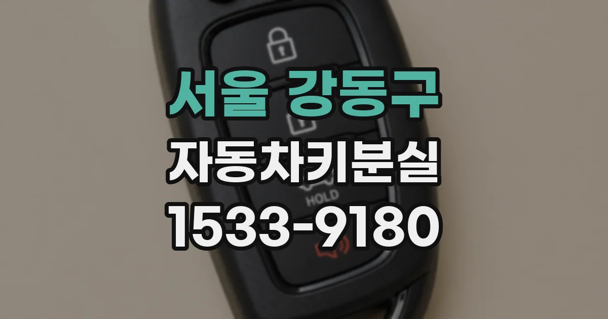 서울 강동구 자동차키분실