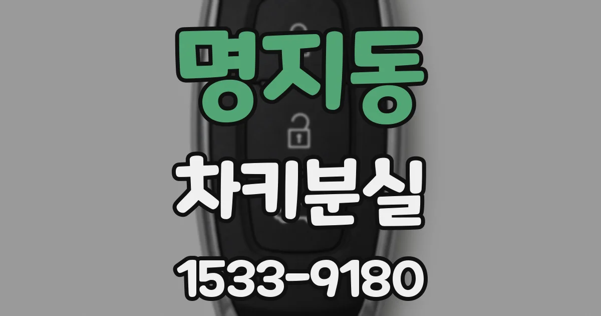 명지동 차키분실