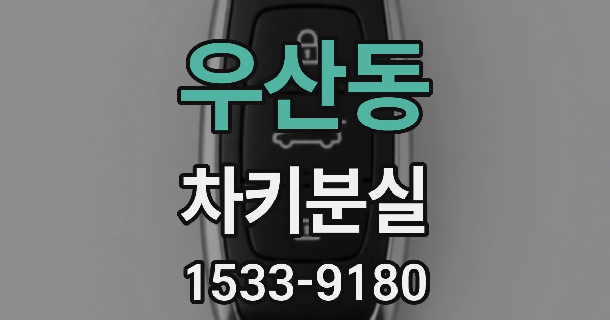 우산동 차키분실