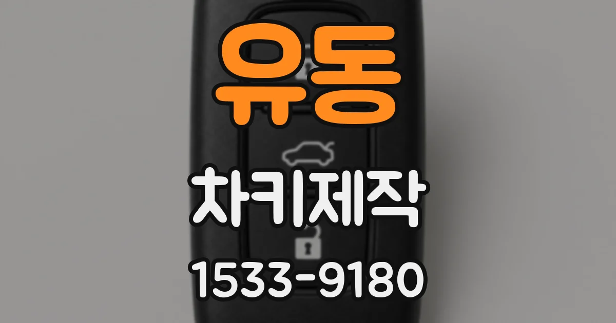 유동 차키제작