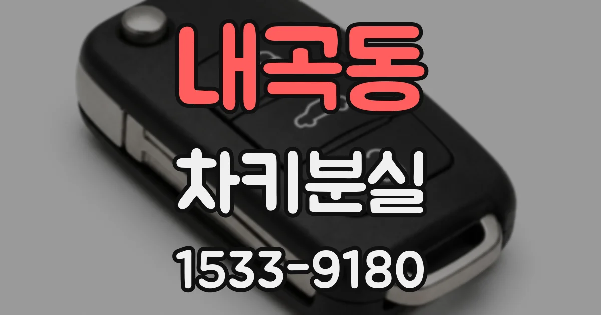 내곡동 차키분실