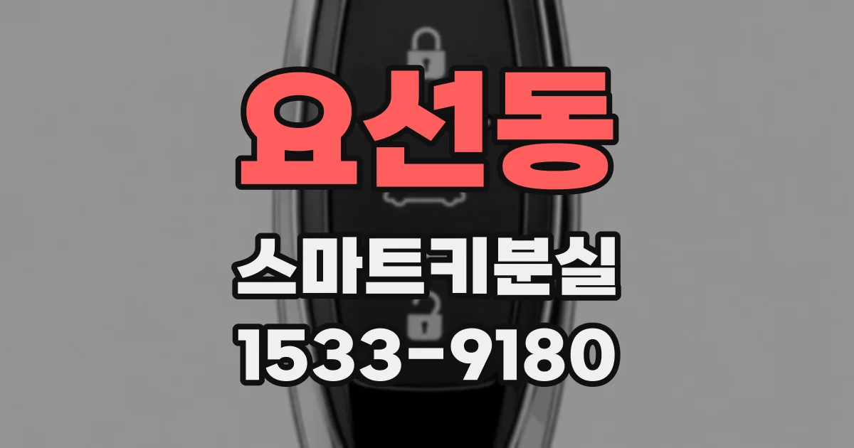 요선동 스마트키분실