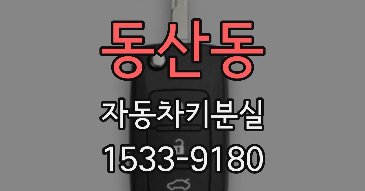 동산동 자동차키분실