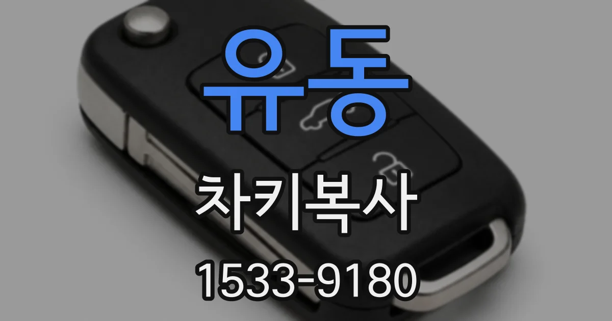 유동 차키복사