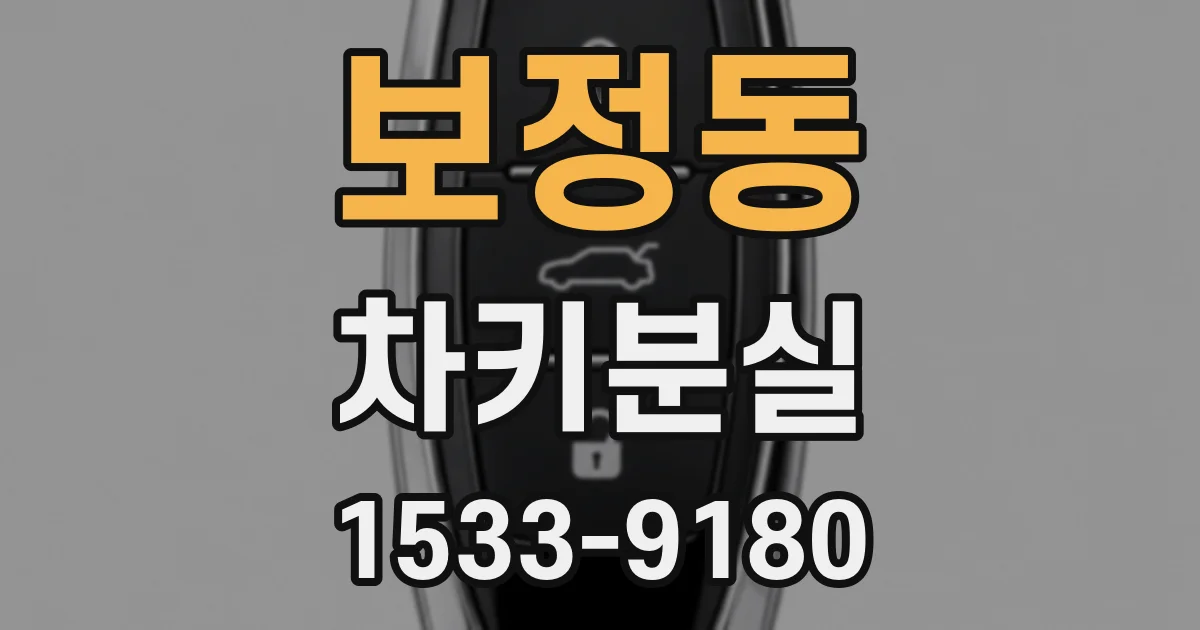 보정동 차키분실