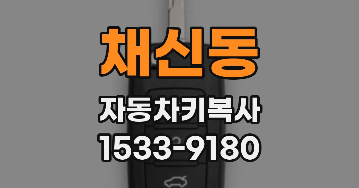 채신동 자동차키복사