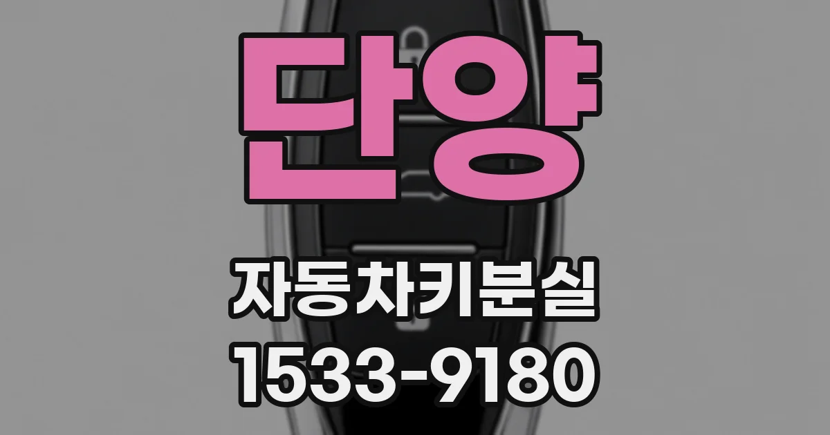 단양 자동차키분실