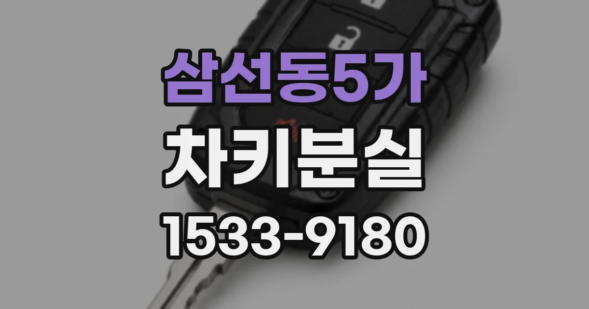 삼선동5가 차키분실