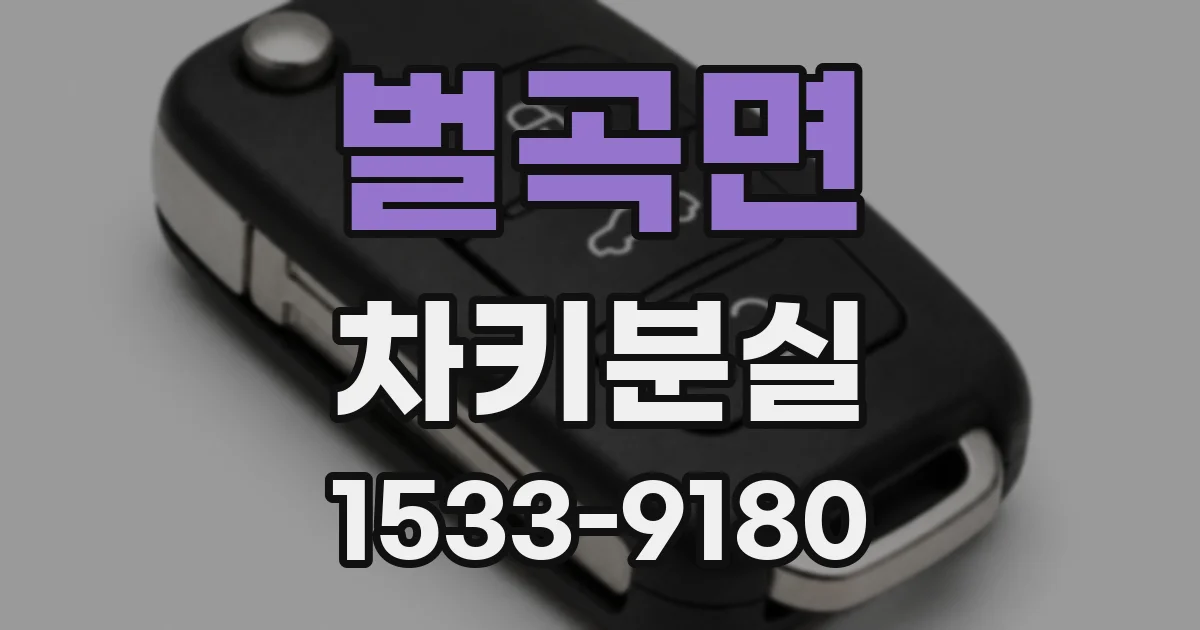 벌곡면 차키분실